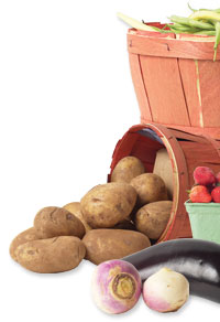 harvest bounty