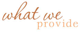 What We Provide